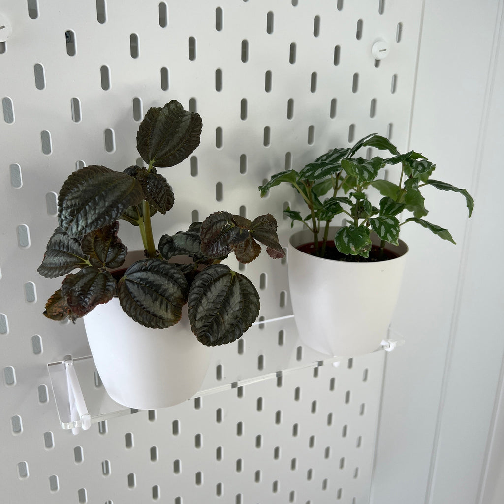 IKEA SKADIS Compatible acrylic Shelf